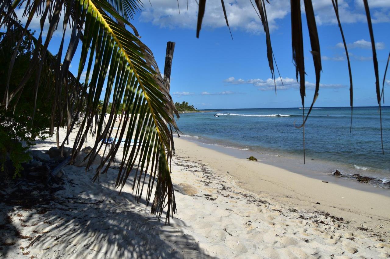 Alojamiento Casa En Tulum Daire Dış mekan fotoğraf